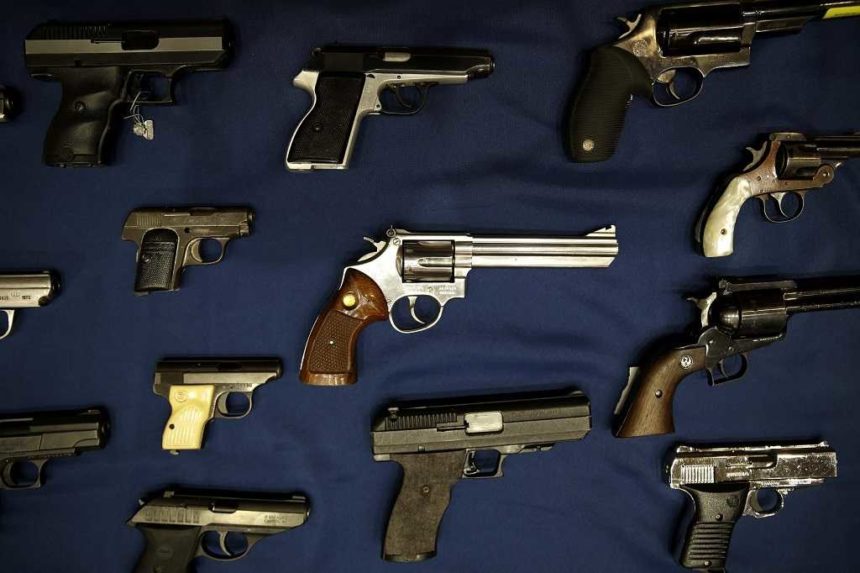 Počas prvého mesiaca zbraňovej amnestie Slováci odovzdali 204 strelných zbraní