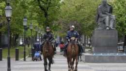 Zmiznú policajné kone z ulíc Bratislavy? Je to drahá paráda, tvrdí Vallo