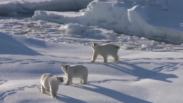 Nórsko chce ťažiť ropu v chránenej oblasti Arktídy