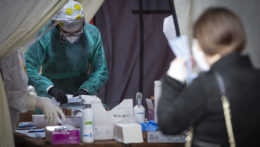 Colníci zadržiavajú lieky s Ivermektínom, ľudia ho kupujú z krajín mimo EÚ