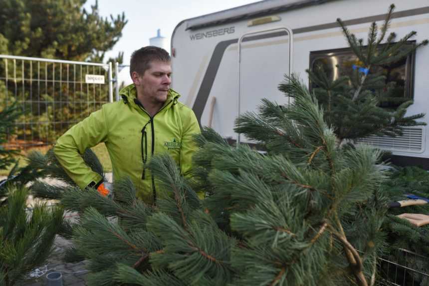 Stromčeky z vojenských lesov prinesú vianočnú atmosféru do detských domovov