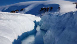 Topenie ľadu na tisícoch ostrovov v kanadskej časti Arktídy prispieva aj k stúpaniu morských hladín.