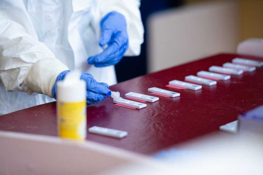 Pred rokom sa objavila prvá podozrivá vzorka, hygienici pandémiu neočakávali