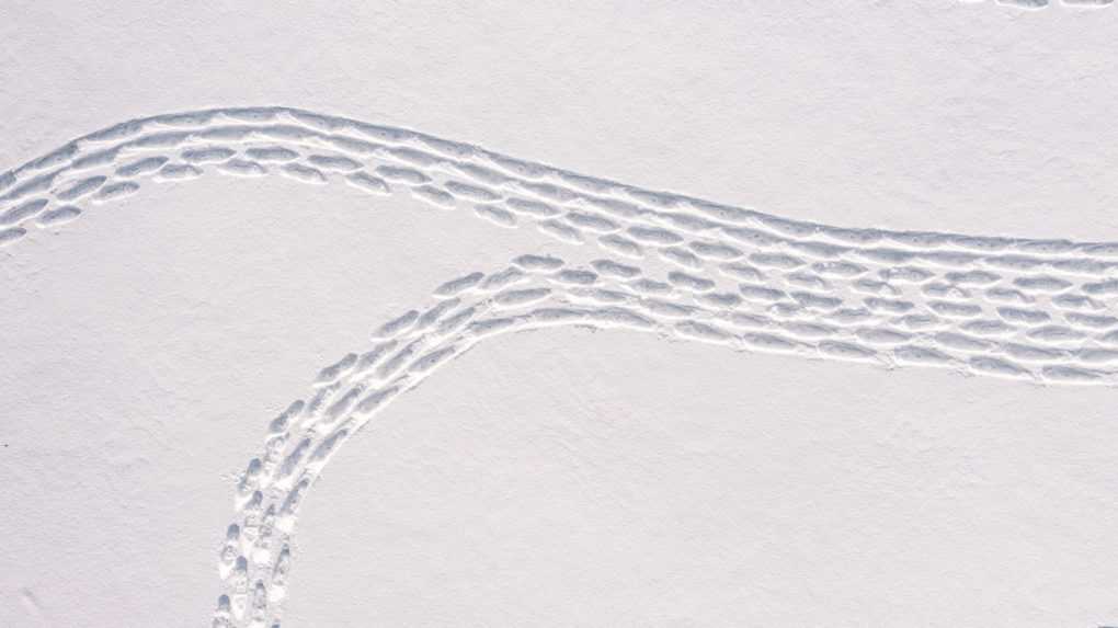 Fínom sa podarilo vyšliapať do snehu unikátny gigantický obrazec