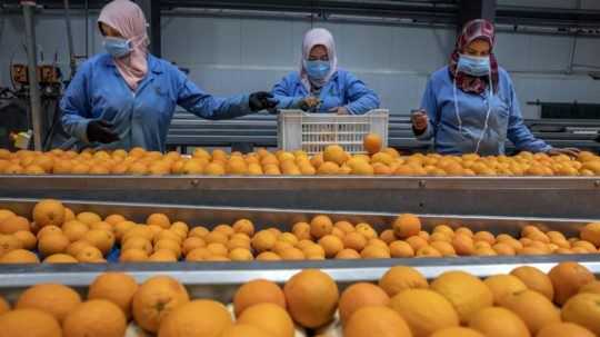 Sevilla má priveľa pomarančov, bude z nich vyrábať elektrinu
