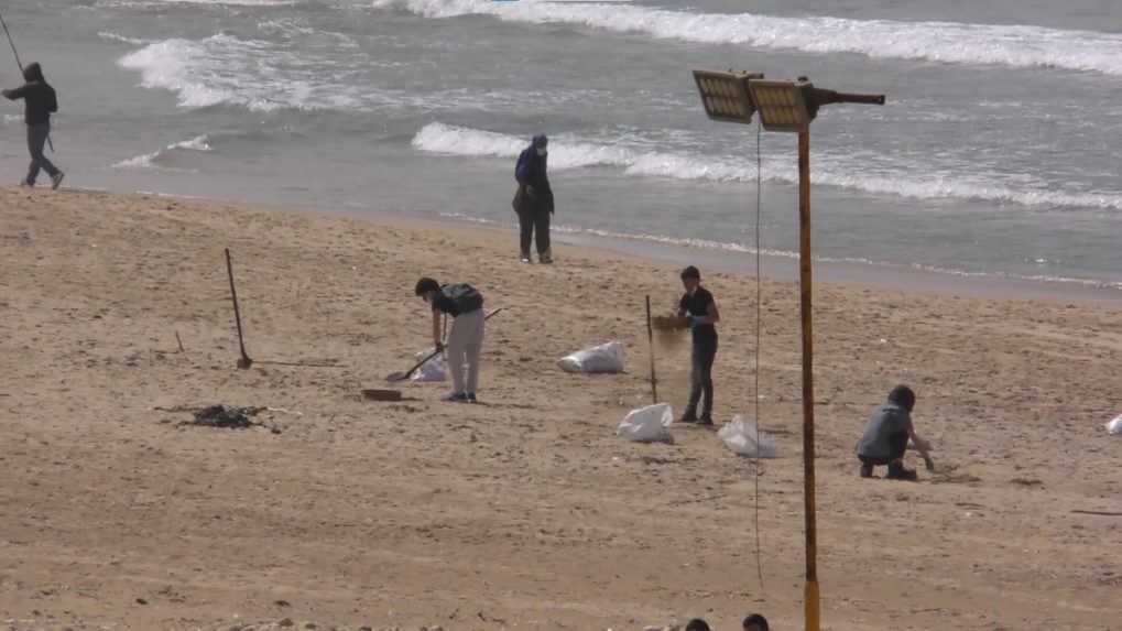 Dobrovoľníci čistia libanonské pobrežie od nánosov ropy