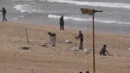 Dobrovoľníci čistia libanonské pobrežie od nánosov ropy