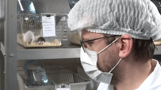 Na východe Slovenska testujú vakcínu Sputnik V na myšiach i morčatách