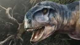 V Argentíne našli zachovalú lebku mäsožravého dinosaura