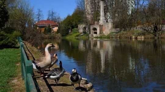 Najmenšia zoo na Slovensku otvorí svoje brány aj s novinkami