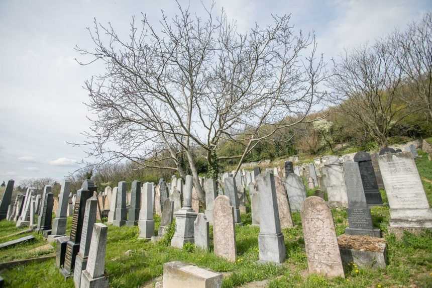 Na ortodoxnom židovskom cintoríne v Bratislave objavili stovky náhrobkov