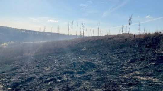 Škoda po požiari lesa na Záhorí zrejme presiahne 100 000 eur