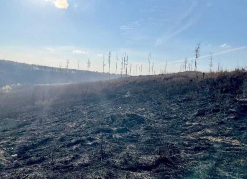 Škoda po požiari lesa na Záhorí zrejme presiahne 100 000 eur