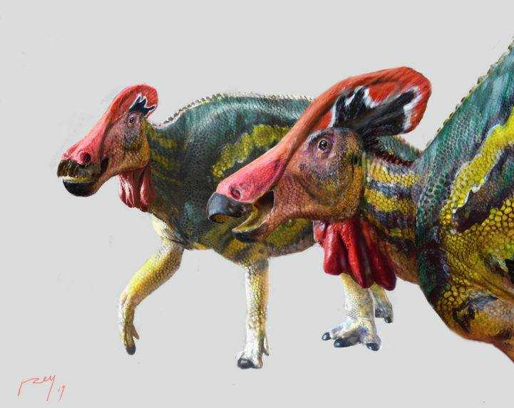 V Mexiku objavili nový druh dinosaura