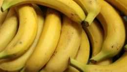V kontajneri s banánmi objavili vyše tony kokaínu