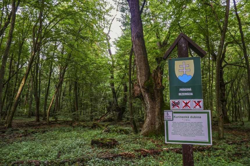 Ochrana prírody na Slovensku má viacero nedostatkov, zhodnotila v správe OECD