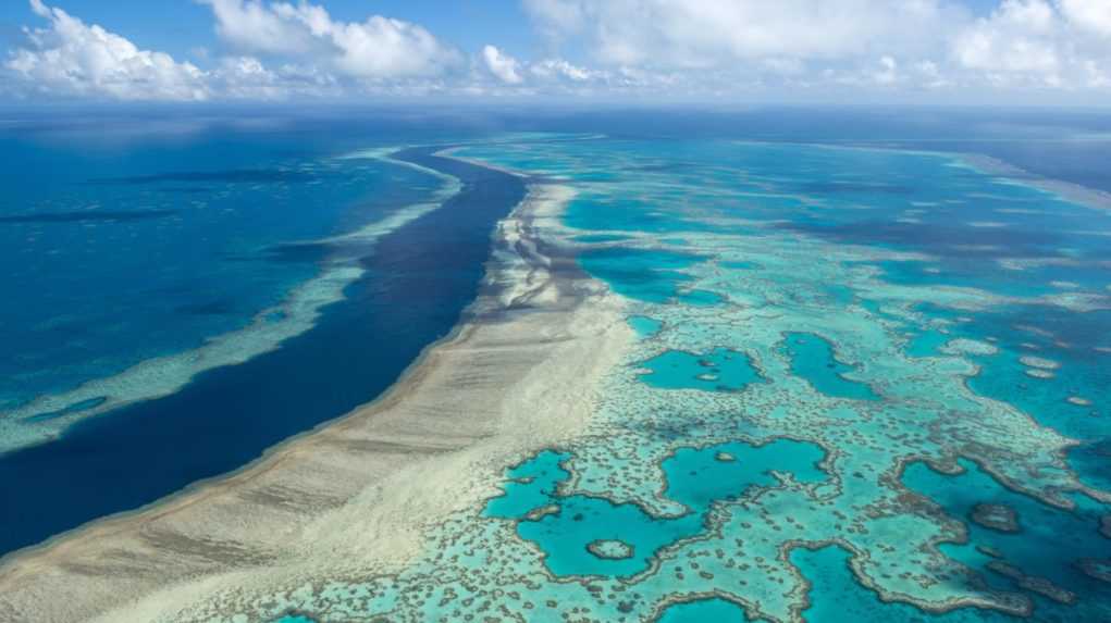 UNESCO nezapísalo Veľkú koralovú bariéru medzi ohrozené prírodné pamiatky