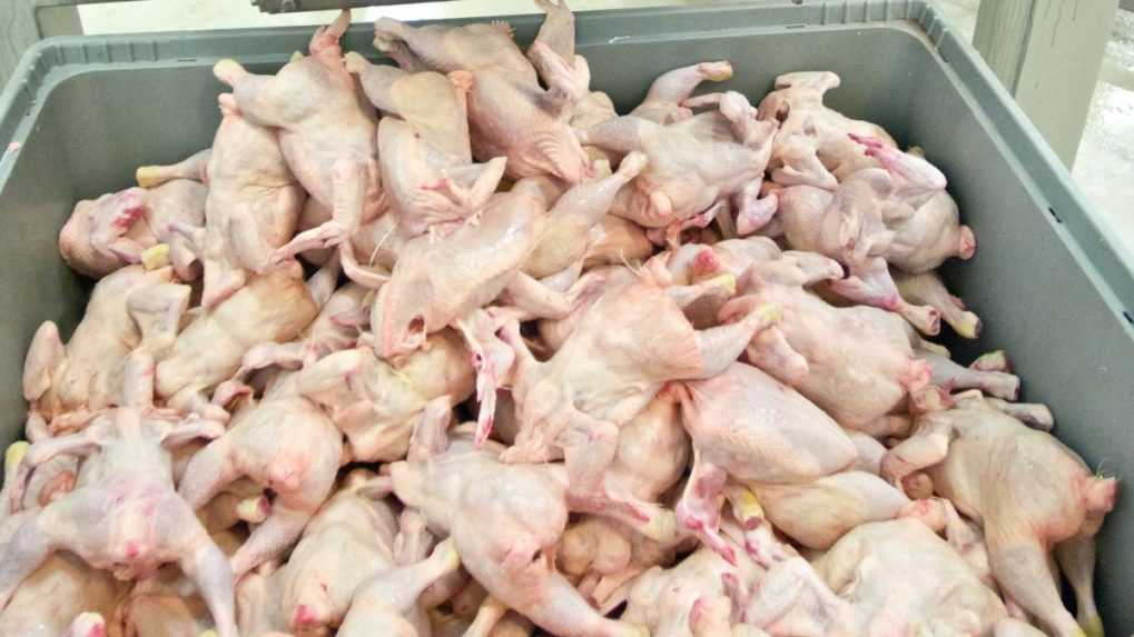 SaS chce chrániť spotrebiteľov pred podvodným mäsom, navrhujú zákaz prebaľovania