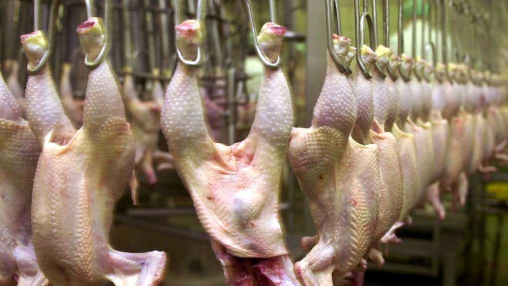 Pre podvody s mäsom žiadajú hydinári zmenu legislatívy
