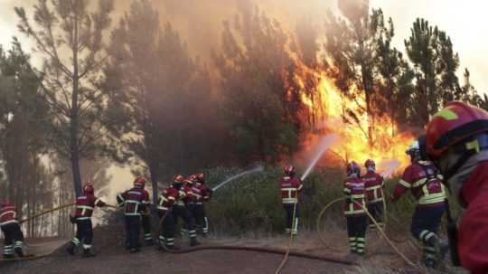 Hasiči hasia lesný požiar