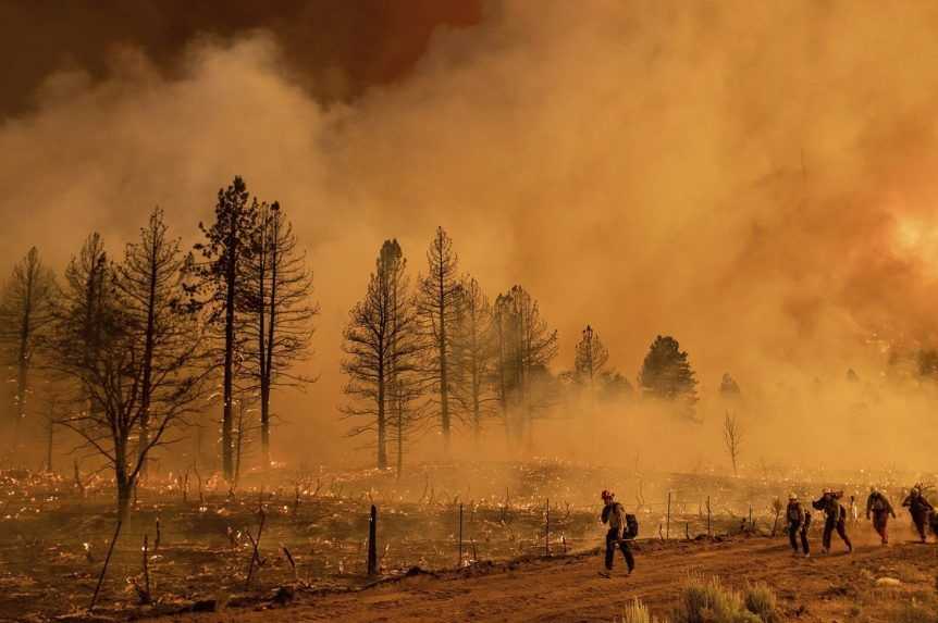Kaliforniu pre extrémne horúčavy sužujú obrovské lesné požiare
