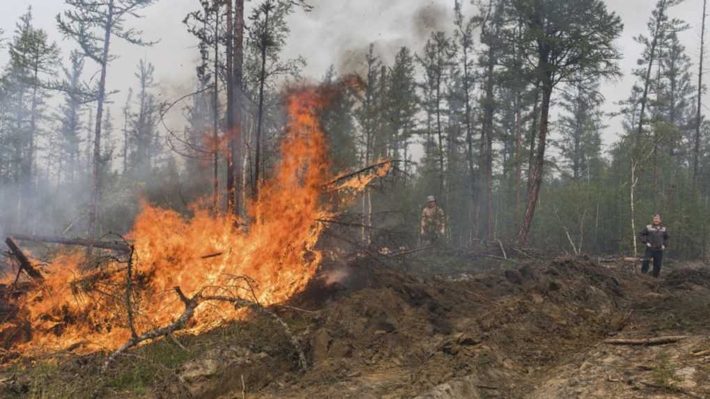 Na Sibíri zhoreli už takmer dva milióny hektárov lesa