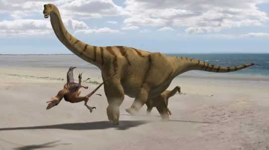 Brontomerus mcintoshii sauropod.