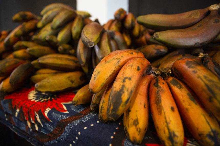 V Čiernej Hore objavili vyše tony kokaínu skrytú medzi banánmi