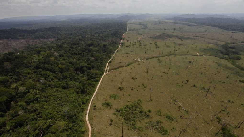 Za posledných takmer 40 rokov prišla Brazília o lesy s rozlohou asi 500 000 km²