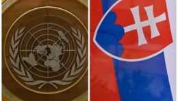 Logo OSN a slovenská vlajka.