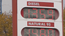Ceny nafty a benzínu.