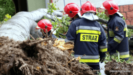 Poľskí hasiči zasahujú pri páde stromu.