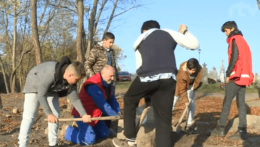 Rómski chlapci pomáhajú obnovovať židovský cintorín.