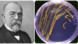 Na snímke mikrobiológ Julius Richard Petri a jeho vynález Petriho miska.