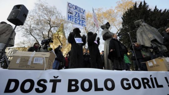 Na snímke účastník protestu Gorila na Námestí SNP 27. januára 2012 v Bratislave.