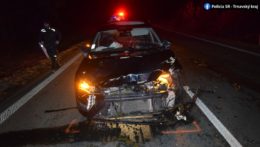 Opitý šofér na Záhorí zrazil jeleňa a srnky