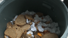 Na snímke potraviny v smetnom koši.