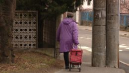 Na ilustračnej snímke dôchodkyňa s nákupným vozíčkom