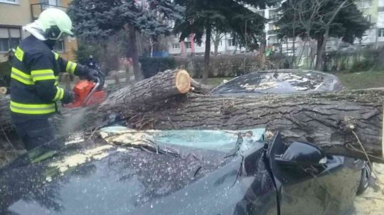 hasiči odstraňovali stromy