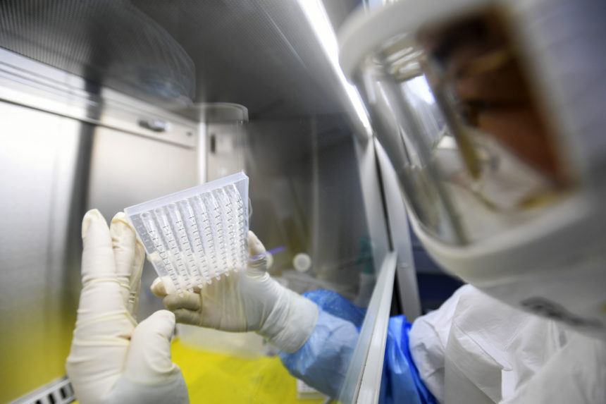 Vedci z Wu-chanu objavili smrteľnejší a prenosnejší koronavírus