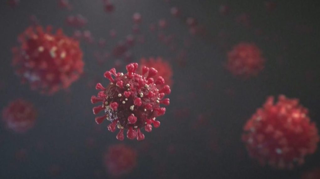Koronavírus mal 411 dní. Lekárom v Británii sa ho podarilo vyliečiť
