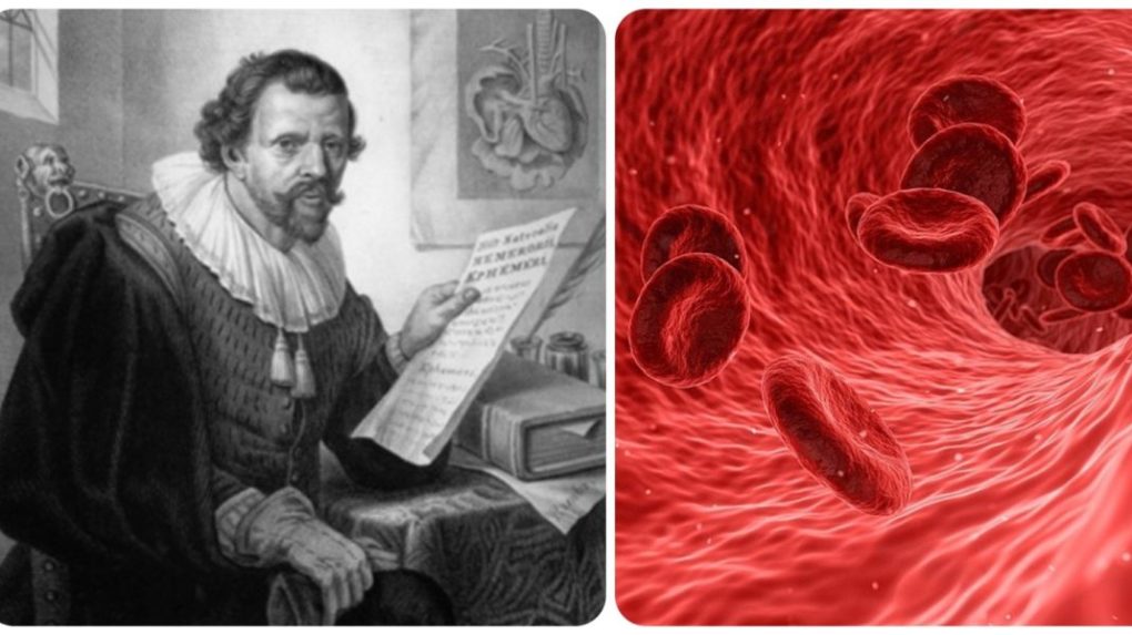 Objaviteľ červených krviniek Jan Swammerdam sa narodil pred 385 rokmi