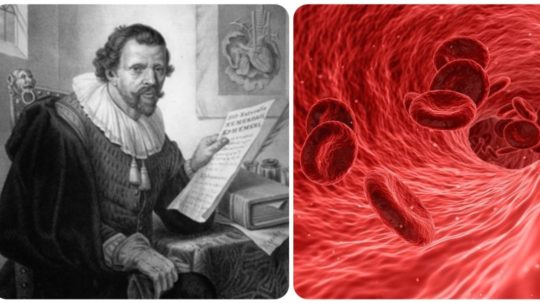 Na kombosnímke prírodovedec Jan Swammerdam a jeho najvýznamnejší objav - červené krvinky.