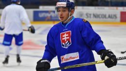 Na archívnej snímke z roku 2019 je útočník slovenskej hokejovej reprezentácie Marko Daňo.