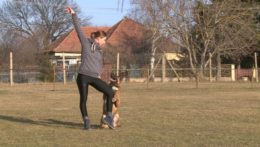Vicemajsterka Európy v dogdancingu trénuje psa.