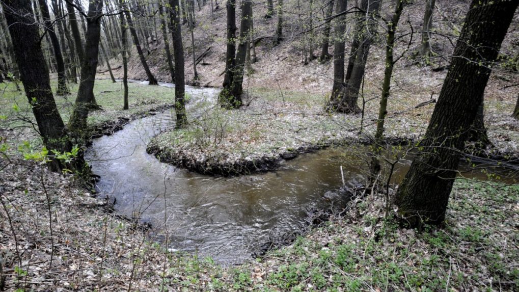 Bratislava má novú prírodnú rezerváciu Vydrica