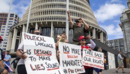 Demonštranti držia plagáty a podporujú konvoj blokujúci cesty neďaleko novozélandského parlamentu vo Wellingtone.