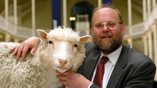Ovečka Dolly a profesor Ian Wilmut.