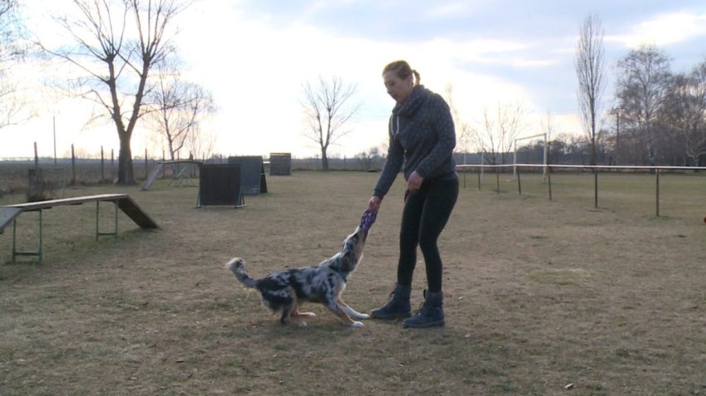 Trénerka cvičí so psom.