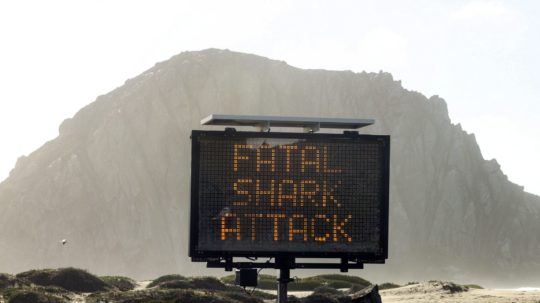 Varovanie pred žralokmi.